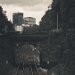 DSCF2042